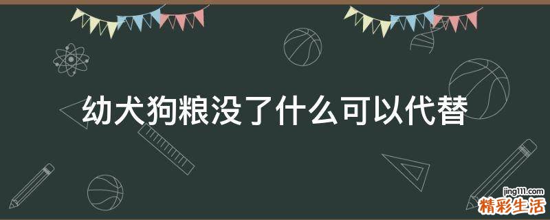 幼犬狗粮没了什么可以代替