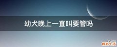 幼犬晚上一直叫要管吗