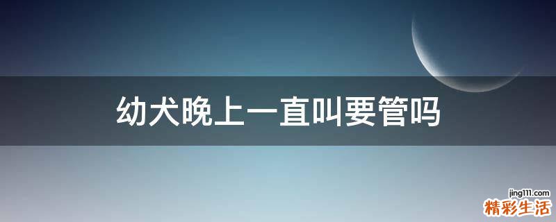 幼犬晚上一直叫要管吗