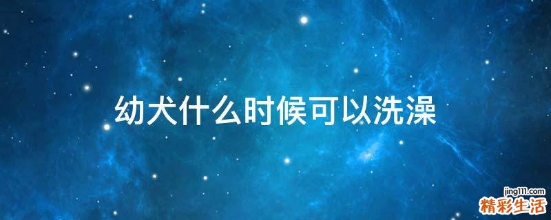 幼犬什么时候可以洗澡