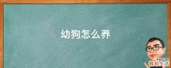 幼狗怎么养
