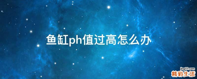 鱼缸ph值过高怎么办