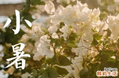 2023年小暑祝福语