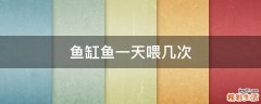 鱼缸鱼一天喂几次