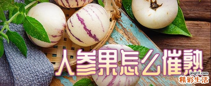 人参果怎么催熟 人参果放几天才会熟