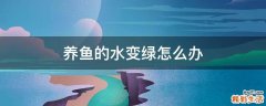 养鱼的水变绿怎么办