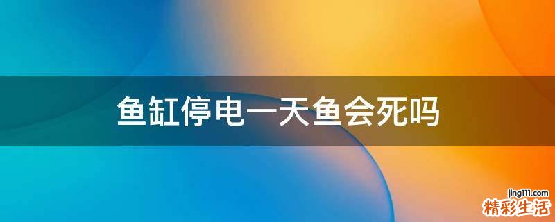 鱼缸停电一天鱼会死吗