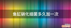 鱼缸硝化细菌多久加一次