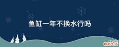 鱼缸一年不换水行吗