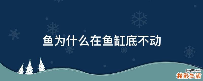 鱼为什么在鱼缸底不动