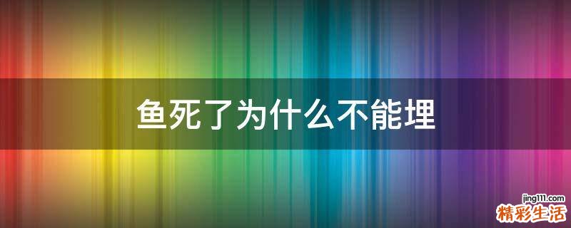 鱼死了为什么不能埋