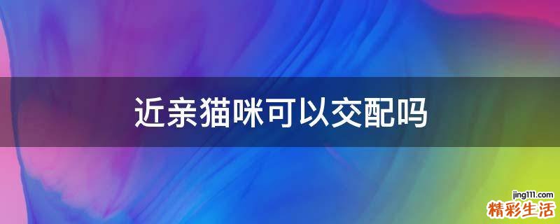 近亲猫咪可以交配吗