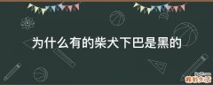 为什么有的柴犬下巴是黑的
