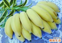 芭蕉的功效与作用