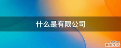 什么是有限公司