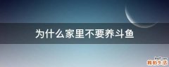 为什么家里不要养斗鱼