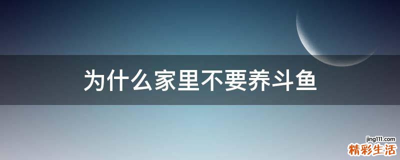 为什么家里不要养斗鱼