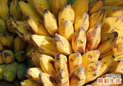 空腹可以吃芭蕉吗 空腹吃芭蕉有什么危害