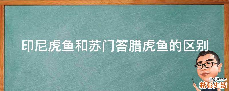印尼虎鱼和苏门答腊虎鱼的区别