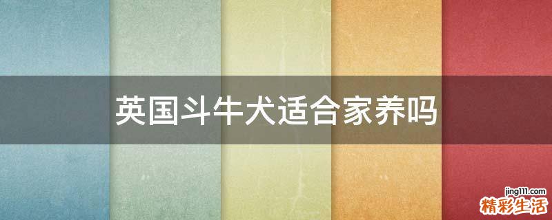 英国斗牛犬适合家养吗