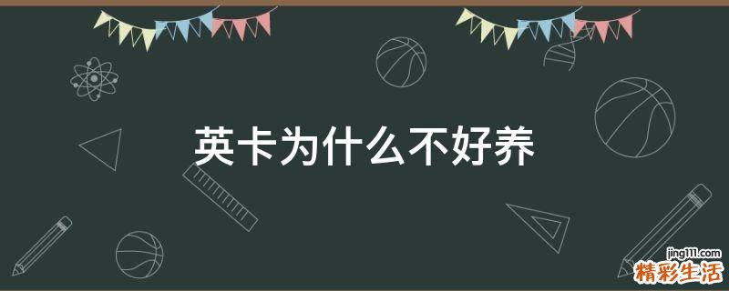 英卡为什么不好养
