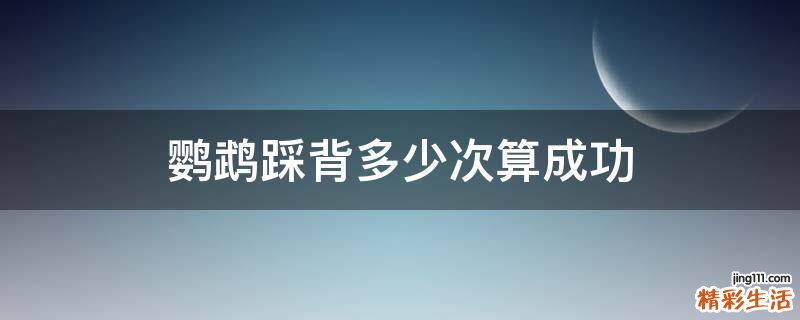 鹦鹉踩背多少次算成功