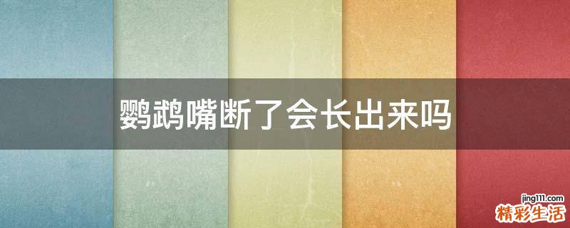 鹦鹉嘴断了会长出来吗