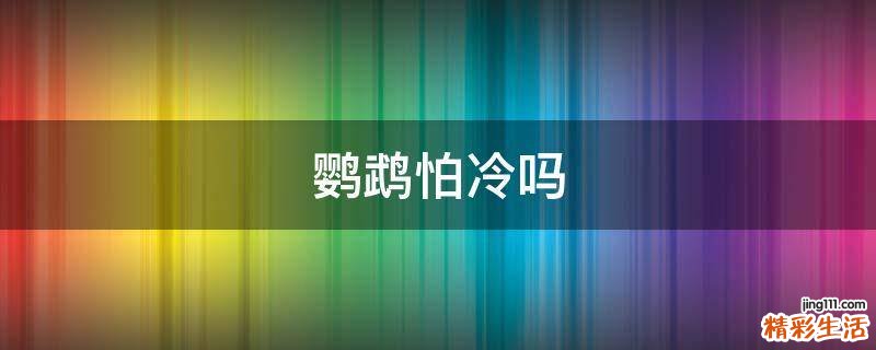 鹦鹉怕冷吗