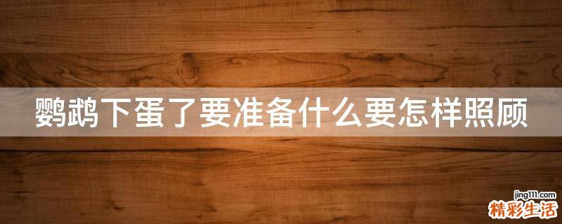 鹦鹉下蛋了要准备什么要怎样照顾
