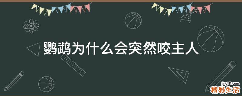鹦鹉为什么会突然咬主人