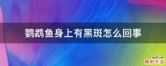 鹦鹉鱼身上有黑斑怎么回事