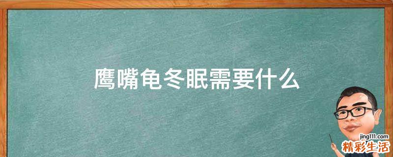 鹰嘴龟冬眠需要什么