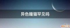 异色瞳猫罕见吗
