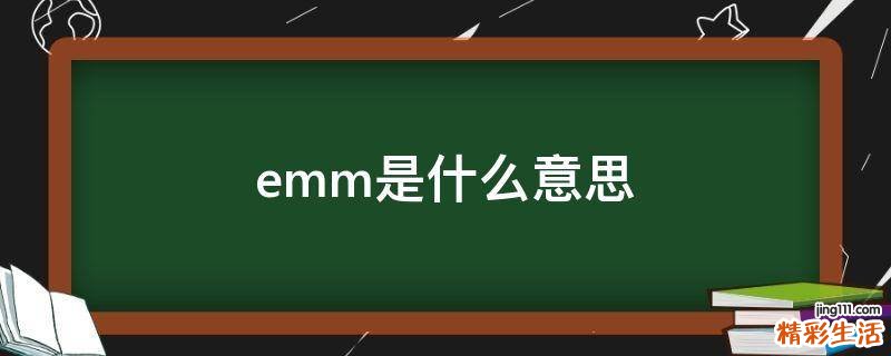 emm是什么意思