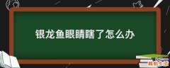 银龙鱼眼睛瞎了怎么办