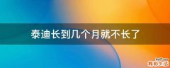 泰迪长到几个月就不长了