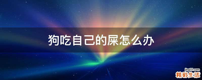 狗吃自己的屎怎么办