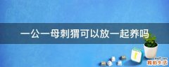 一公一母刺猬可以放一起养吗
