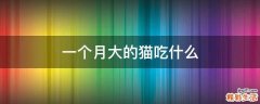 一个月大的猫吃什么
