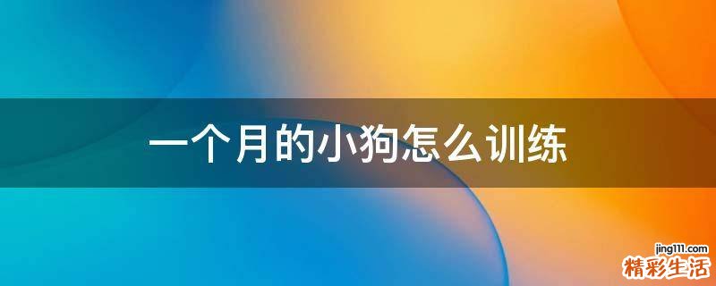 一个月的小狗怎么训练