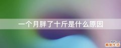一个月胖了十斤是什么原因