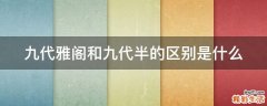 九代雅阁和九代半的区别是什么