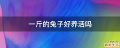 一斤的兔子好养活吗