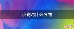 小狗吃什么食物