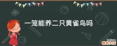一笼能养二只黄雀鸟吗
