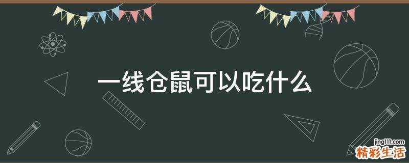 一线仓鼠可以吃什么