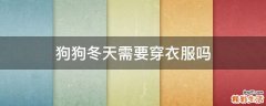 狗狗冬天需要穿衣服吗