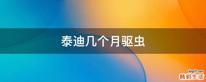 泰迪几个月驱虫