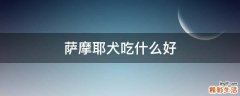 萨摩耶犬吃什么好