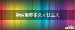 雪纳瑞养多久才认主人
